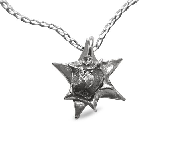 Meteorite hot sale star necklace